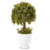 Topiary In Ceramic Pot -Finest Furniture Store 810498553