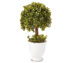 Topiary In Ceramic Pot