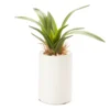 Mini Faux Greenery In White Ceramic Pot -Finest Furniture Store 810509521