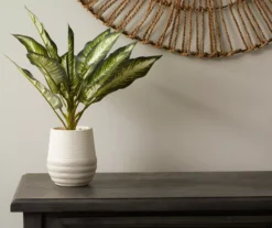 Zebra Plant In Ceramic Pot 7 Zebra Plant In Ceramic Pot -Finest Furniture Store 810509522 2