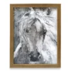White Horse Framed Plaque -Finest Furniture Store 810515621