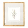 Botanical Linen Framed Print 1 Botanical Linen Framed Print -Finest Furniture Store 810540303