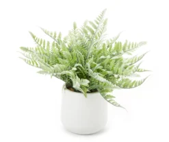 Fern In White Ceramic Pot