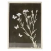 Black & White Butterfly Botanical Framed Art Print -Finest Furniture Store 810552400