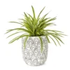Grass In Arch Pattern Pot -Finest Furniture Store 810553579