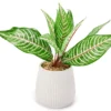Green Artificial Leafy Arrangement With White Ridged Ceramic Pot 1 Green Artificial Leafy Arrangement With White Ridged Ceramic Pot -Finest Furniture Store 810561038
