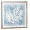 Blue & White Abstract Coral Framed Wall Art -Finest Furniture Store 810561162