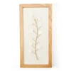 New Beginnings White Capiz Botanical Framed Wall Art -Finest Furniture Store 810595455 A0