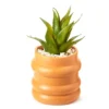 Wild Sedona Artificial Succulent In Orange Ribbed Cement Pot -Finest Furniture Store 810601628 A0 1