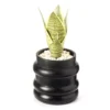 Wild Sedona Artificial Succulent In Black Ribbed Cement Pot 1 Wild Sedona Artificial Succulent In Black Ribbed Cement Pot -Finest Furniture Store 810601867 A0 1