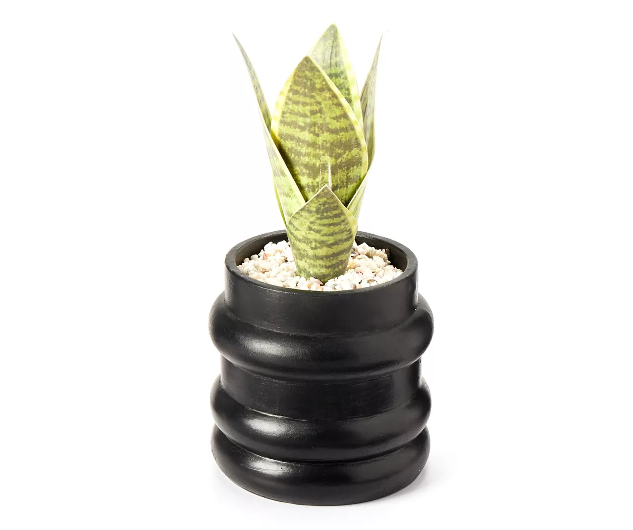 Wild Sedona Artificial Succulent In Black Ribbed Cement Pot 3 Wild Sedona Artificial Succulent In Black Ribbed Cement Pot