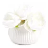 White Artificial Peony Arrangement In White Ridged Ceramic Pot 2 White Artificial Peony Arrangement In White Ridged Ceramic Pot -Finest Furniture Store 810603806 A0