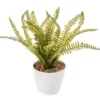 Artificial Fern In White Round Ceramic Pot 1 Artificial Fern In White Round Ceramic Pot -Finest Furniture Store 810603843 A0 1
