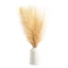 Tan Pampas Grass Arrangement With White Ceramic Pot -Finest Furniture Store 810604675 A0