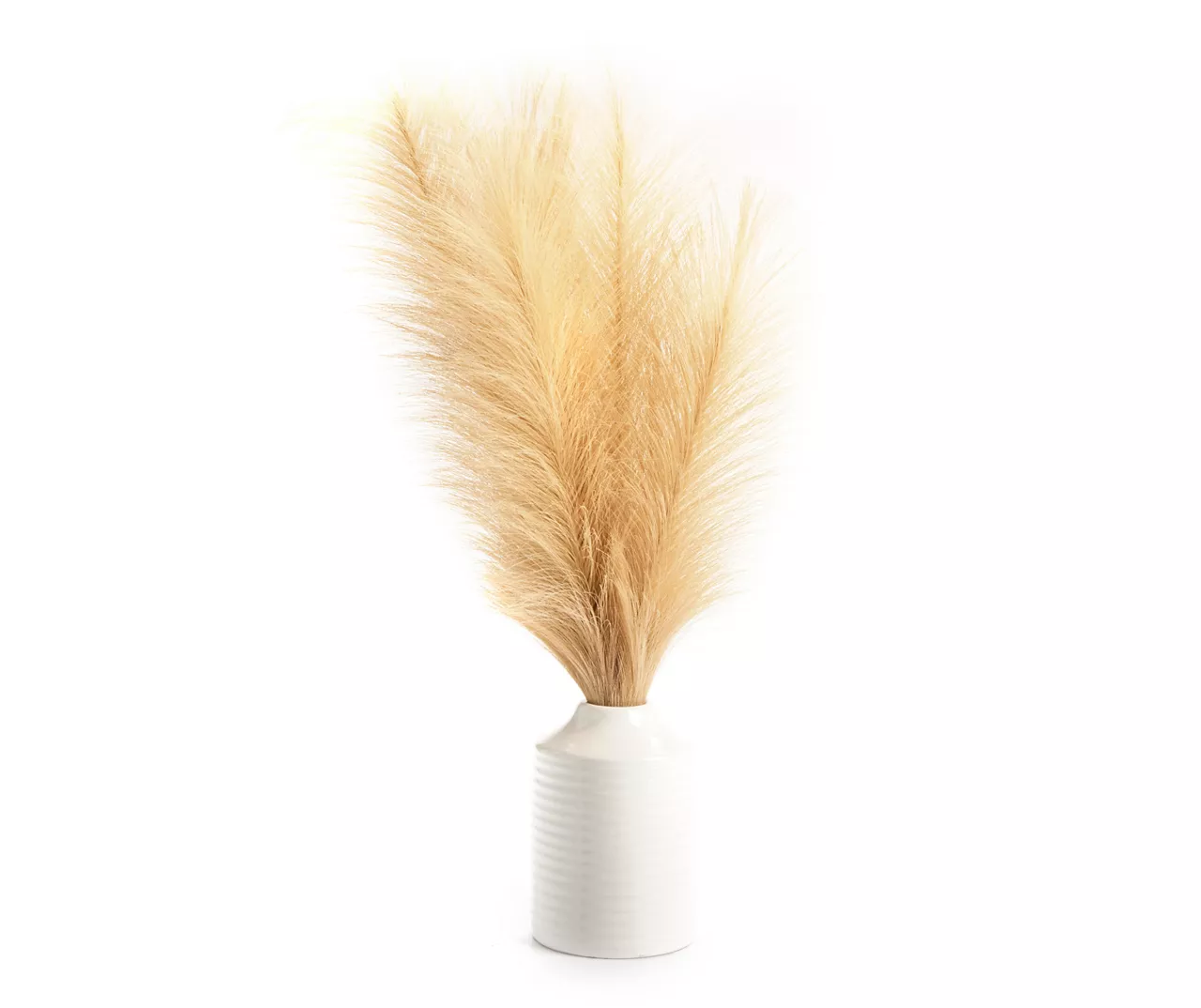 Tan Pampas Grass Arrangement With White Ceramic Pot 3 Tan Pampas Grass Arrangement With White Ceramic Pot