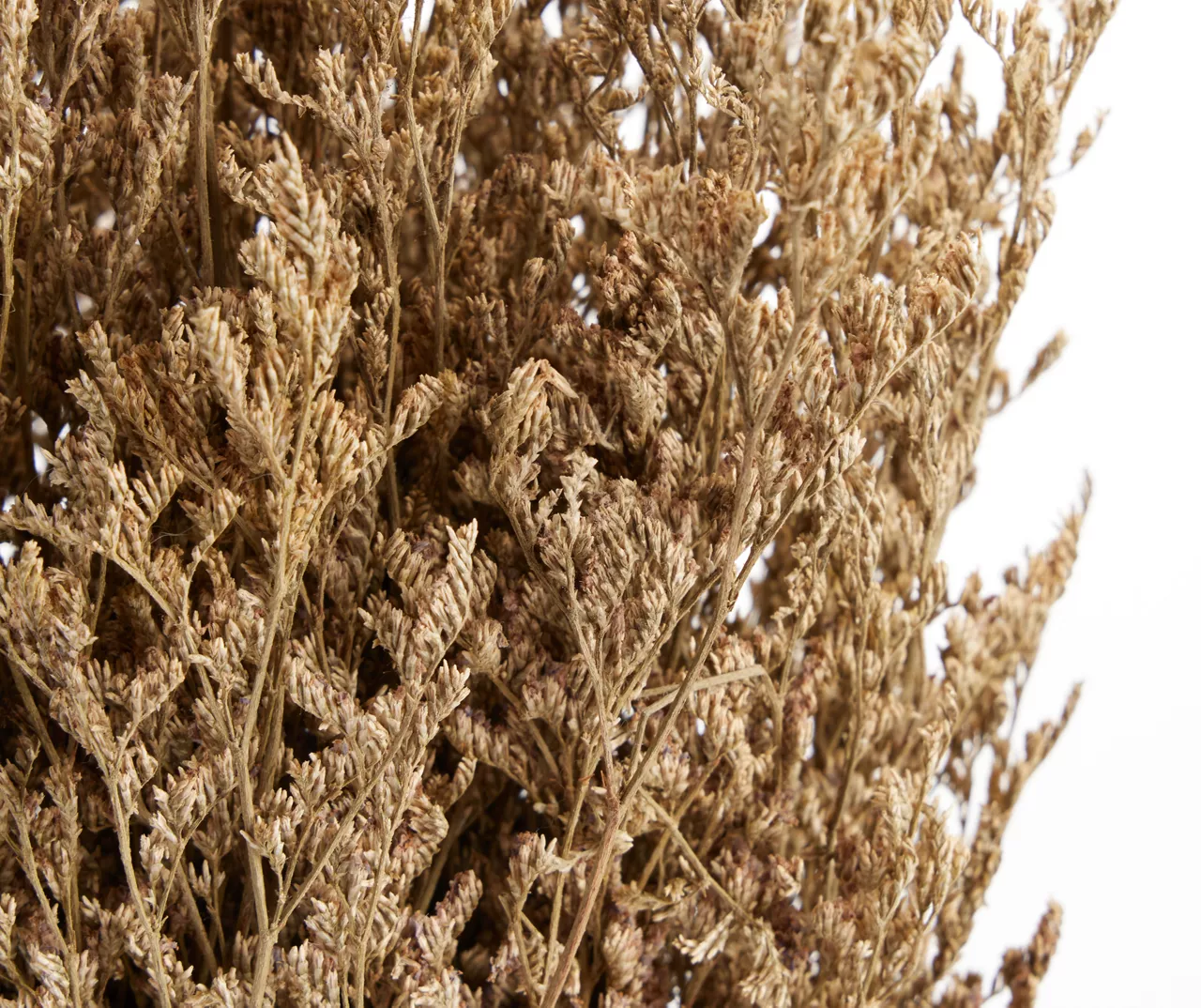 Dried Floral Arrangement In Vase 4 Dried Floral Arrangement In Vase - Image 2