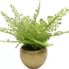 Homeward Artificial Greenery In Gold Cement Pot -Finest Furniture Store 810620678 A0
